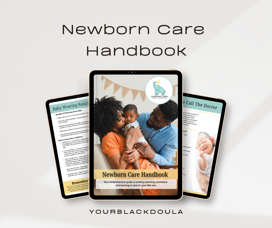 "Little Beginning" Newborn Care Handbook