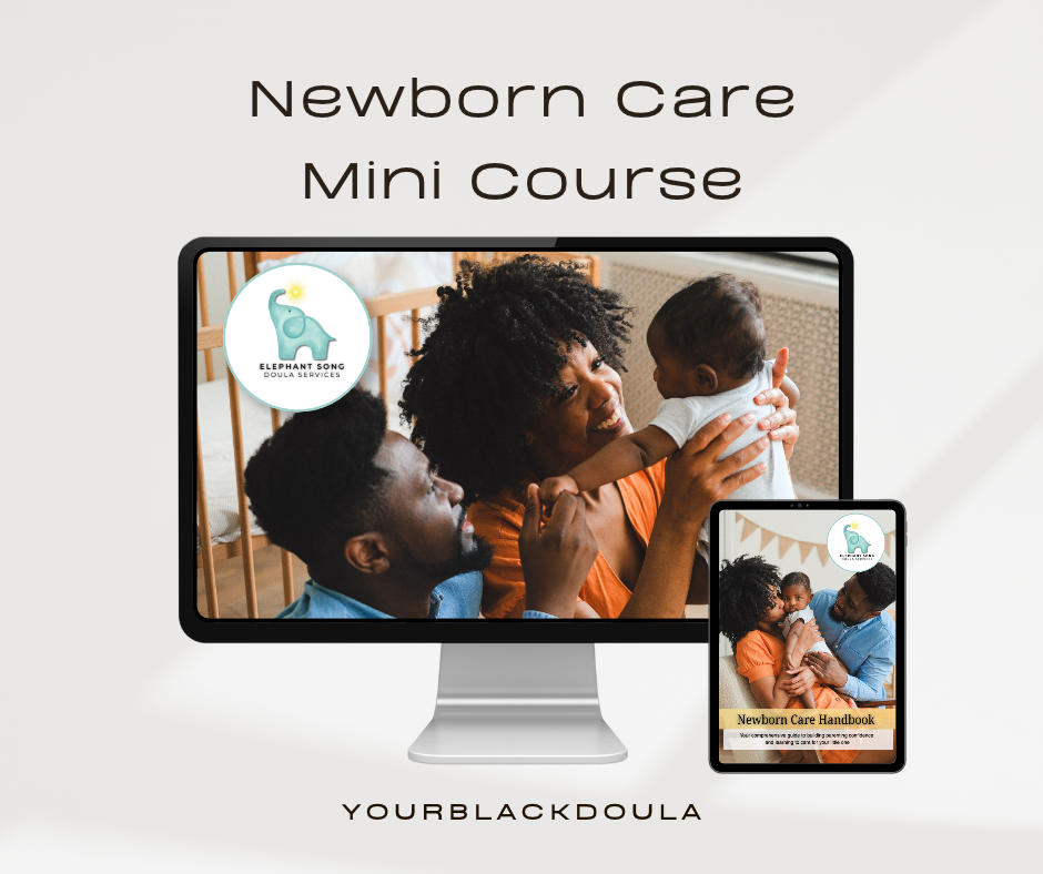 "Little Beginnings" Newborn Care Mini-Course + Handbook