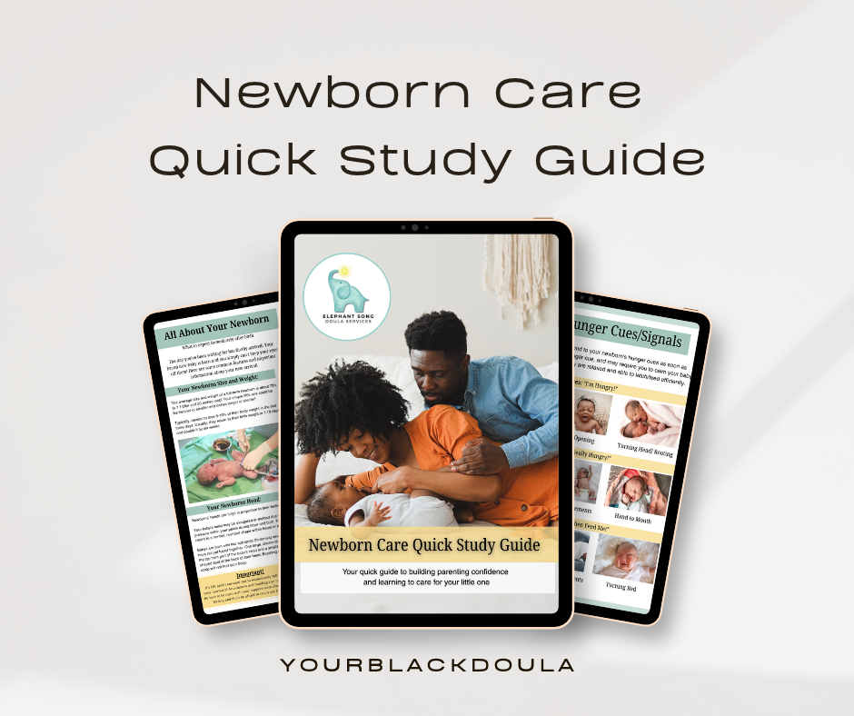"Little Beginning" Newborn Care Quick Study Guide