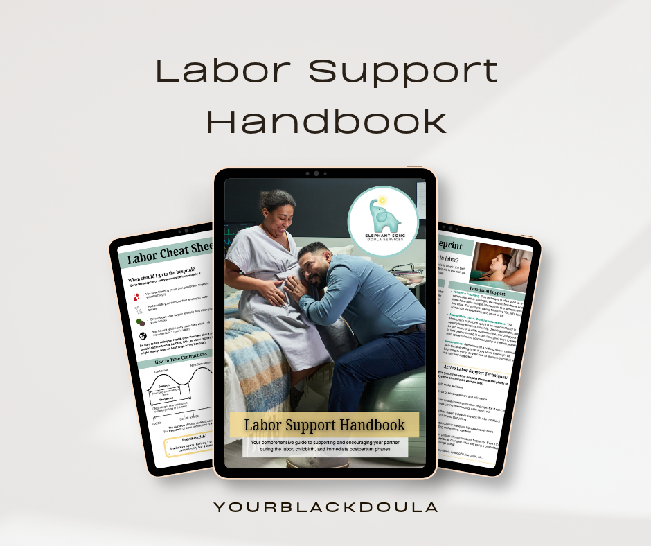 "The Birth Partner Blueprint" Labor Support Handbook