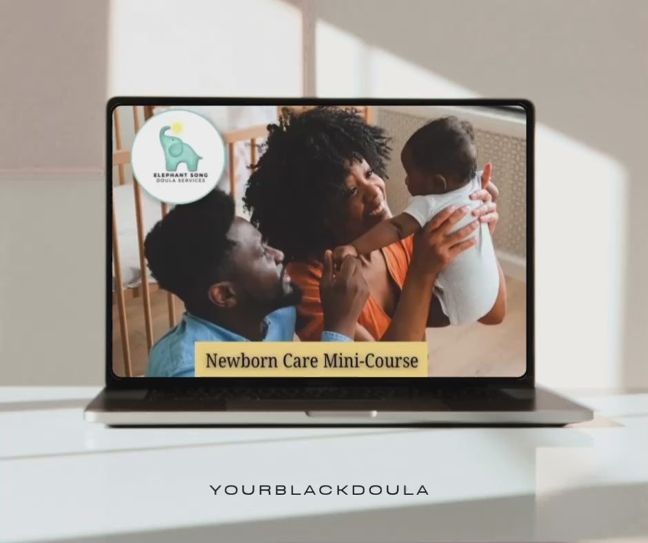 "Little Beginnings" Newborn Care Mini-Course + Handbook